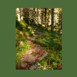 2012-08-09_01Fischunkel-Alm_Wasseralm (419).JPG
